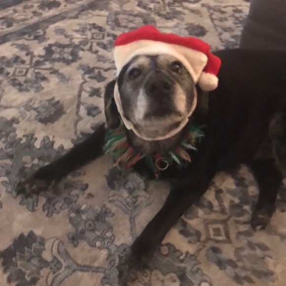 Meet your Posher, Christiana - Picture 1 of 1